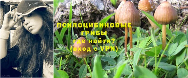 кокаин перу Алзамай