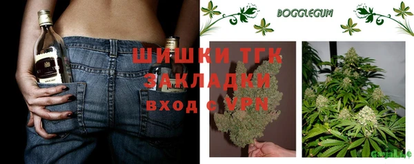 гидра Переславль-Залесский