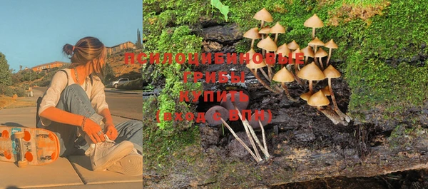 синтетический гашиш Алексин