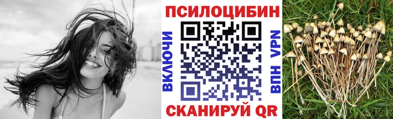 что такое наркотик  Камышин  Галлюциногенные грибы Magic Shrooms 