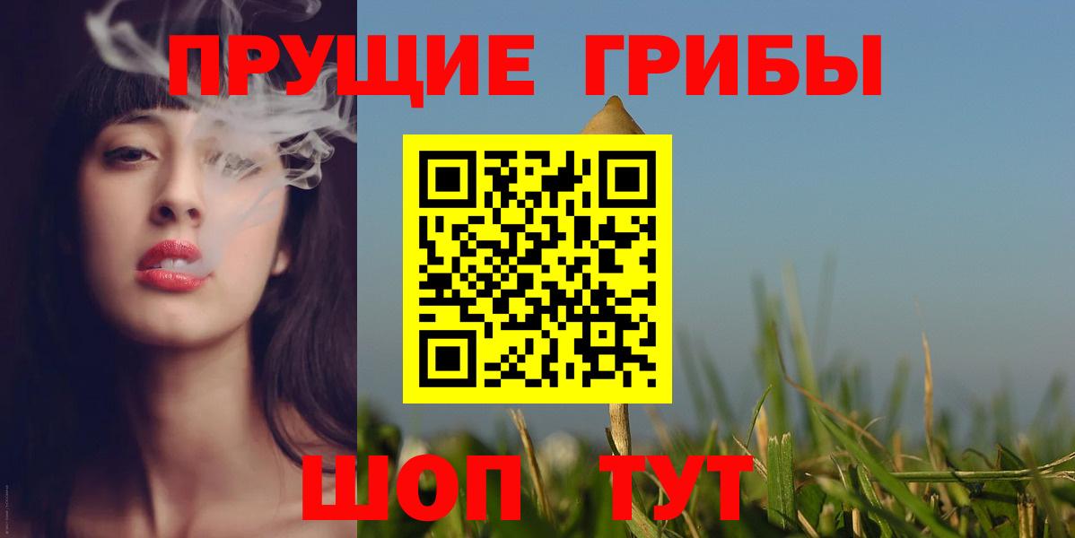 Камышин  Галлюциногенные грибы Psilocybe  Вход с VPN 
