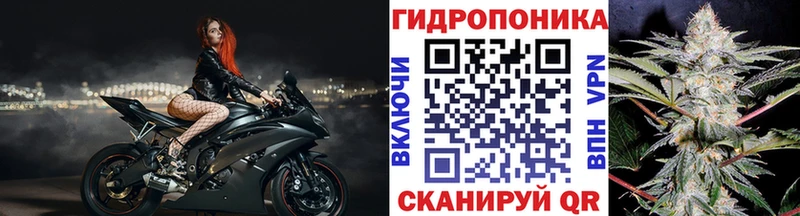 даркнет сайт  Камышин  Марихуана индика 