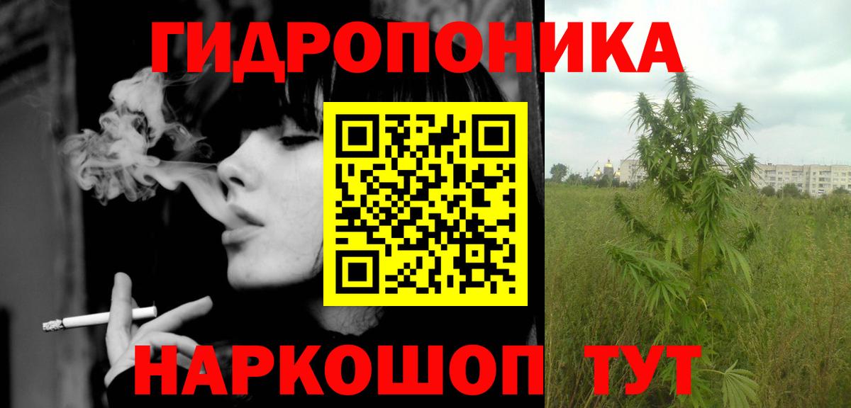 Каннабис марихуана  Вход с VPN  Каннабис семена  Камышин  Марихуана семена 